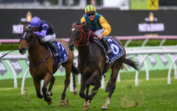 赫罗纳的 赫罗纳的