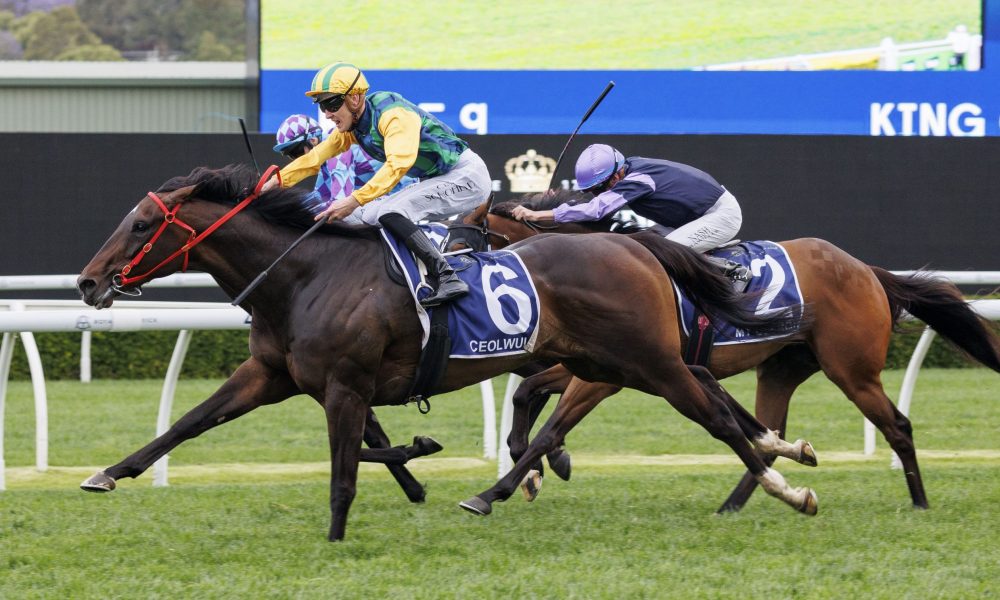 她希望通过 她希望通过