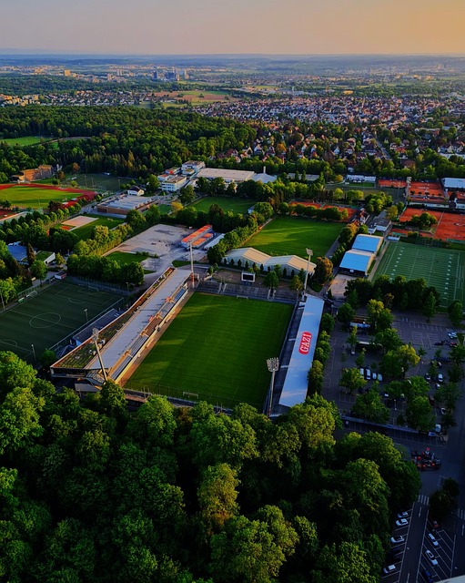 顶尖对手的 顶尖对手的